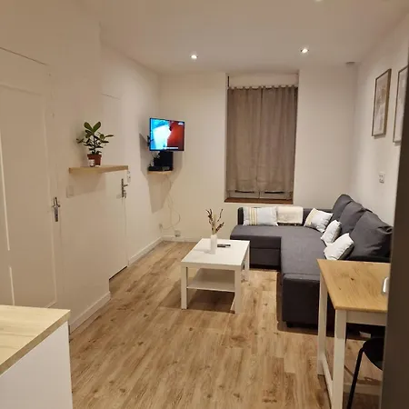 Bel Appartement Cosy Fleury-les-Aubrais Exterior photo